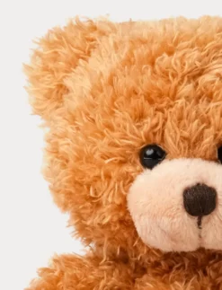 Colour Cubs, Nalle, Brun