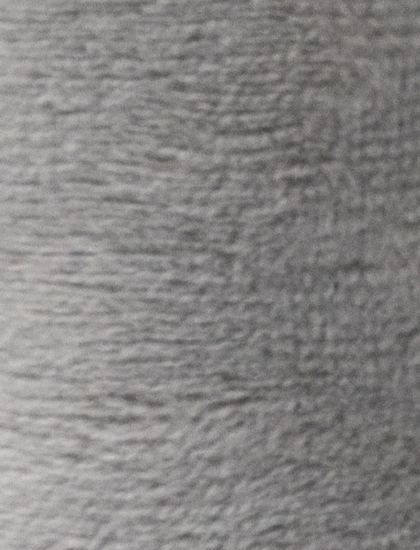 Diinglisar, Skallra, Elefant