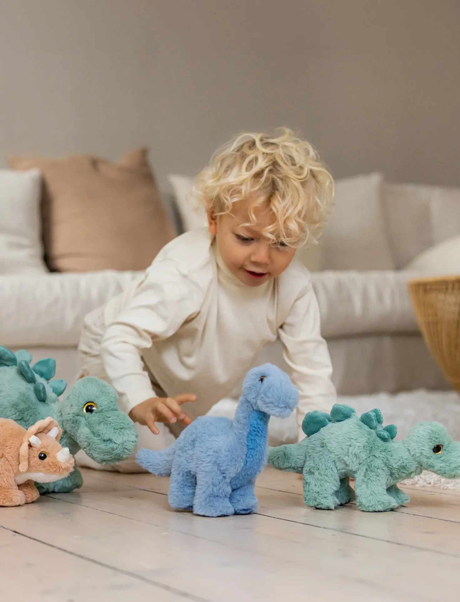 Dino trio, Stor