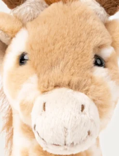 Giraffen Gina, Liten