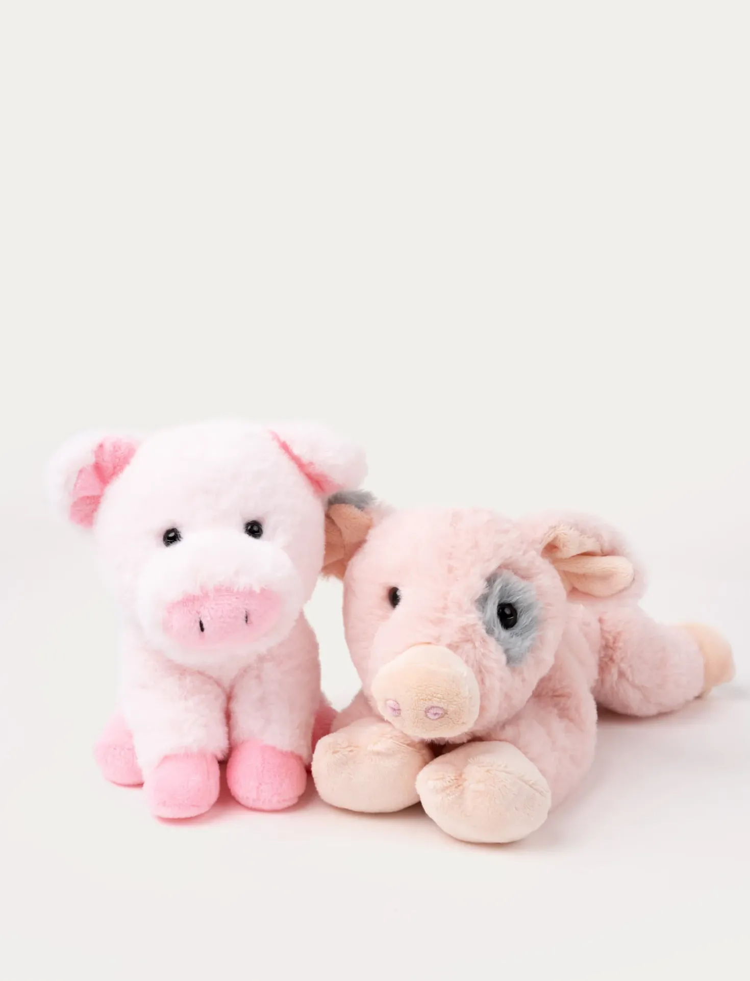 Gris med kulting, Gosig duo