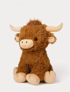 Highland Cow