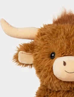 Highland Cow