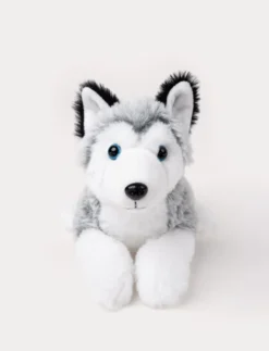 Husky