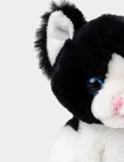 Kattkompisar, Mojje, Svart