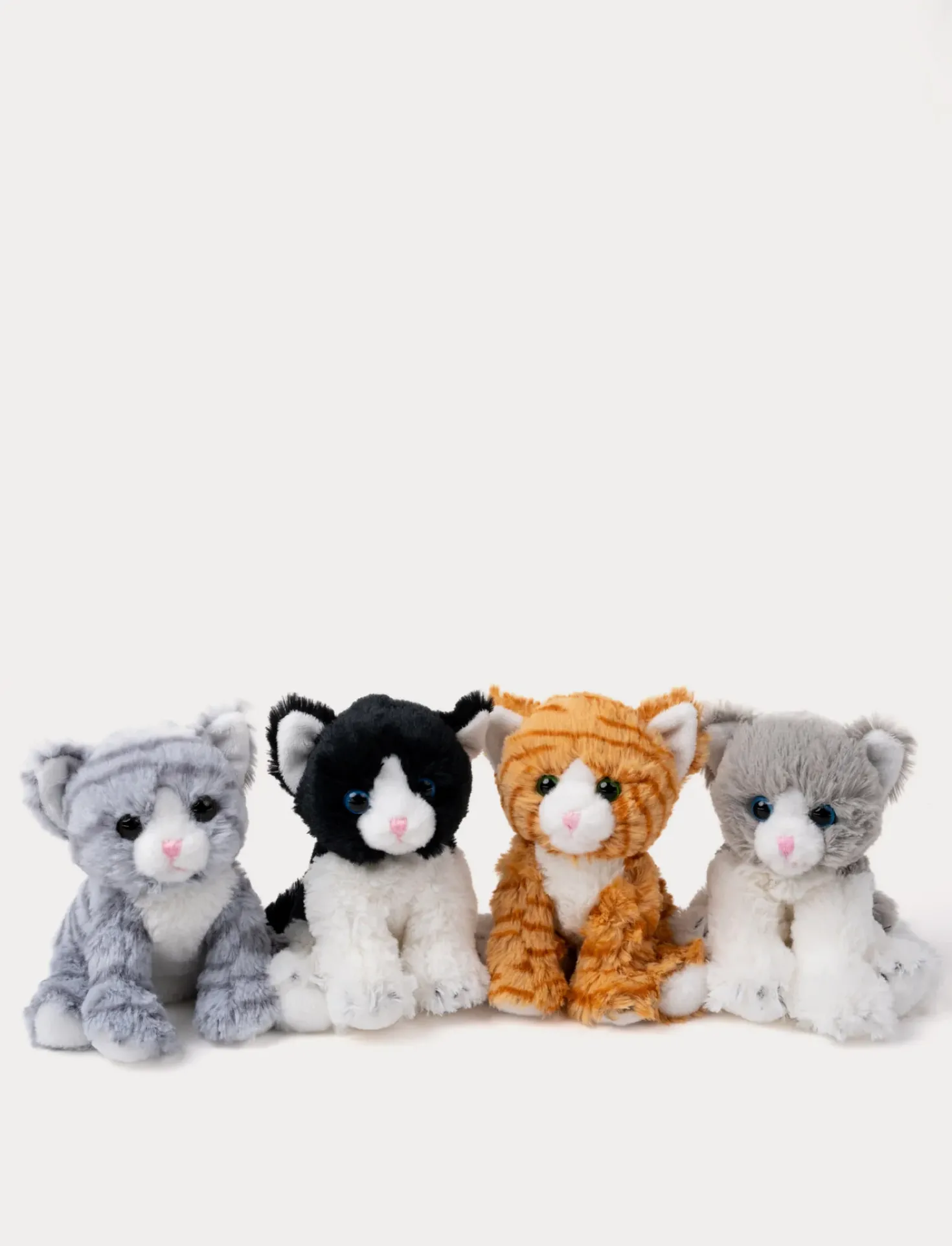 Kattkompisar, Mojje, Svart