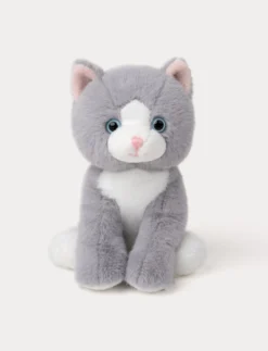 Kattungar, Grå