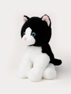 Kattungar, Svart
