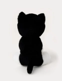 Kattungar, Svart