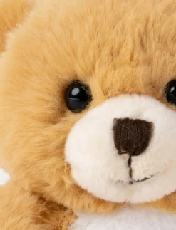 Nalle, Liten, Brun