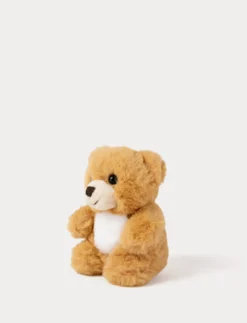 Nalle, Liten, Brun