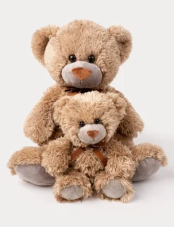 Roger, Nalle, Liten, Brun