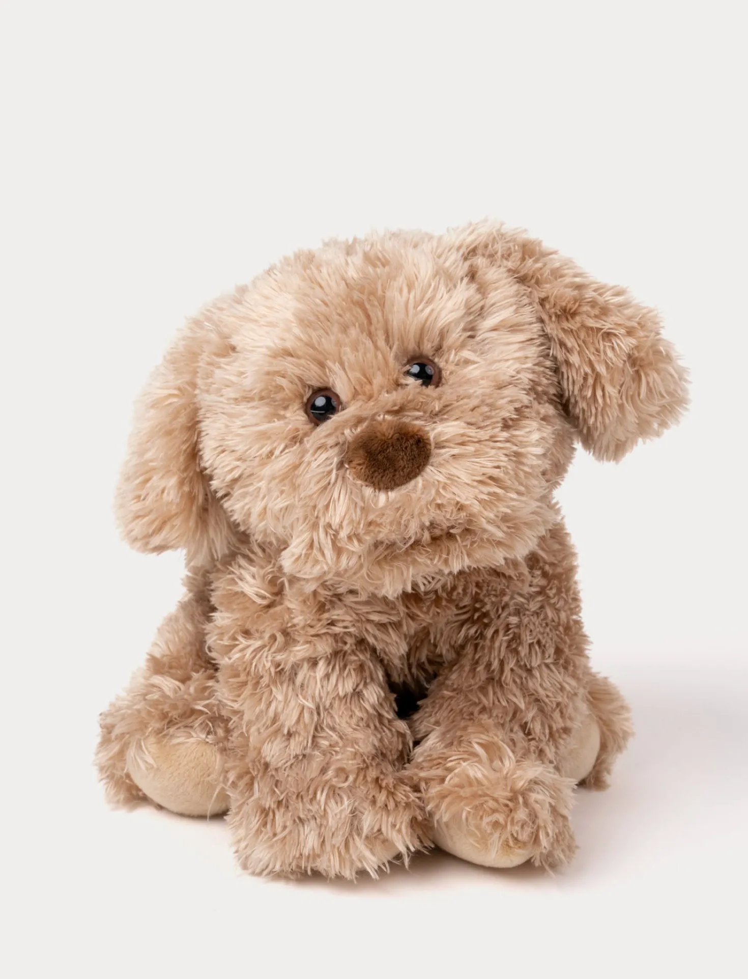 Selma, Hund, Liten, Brun