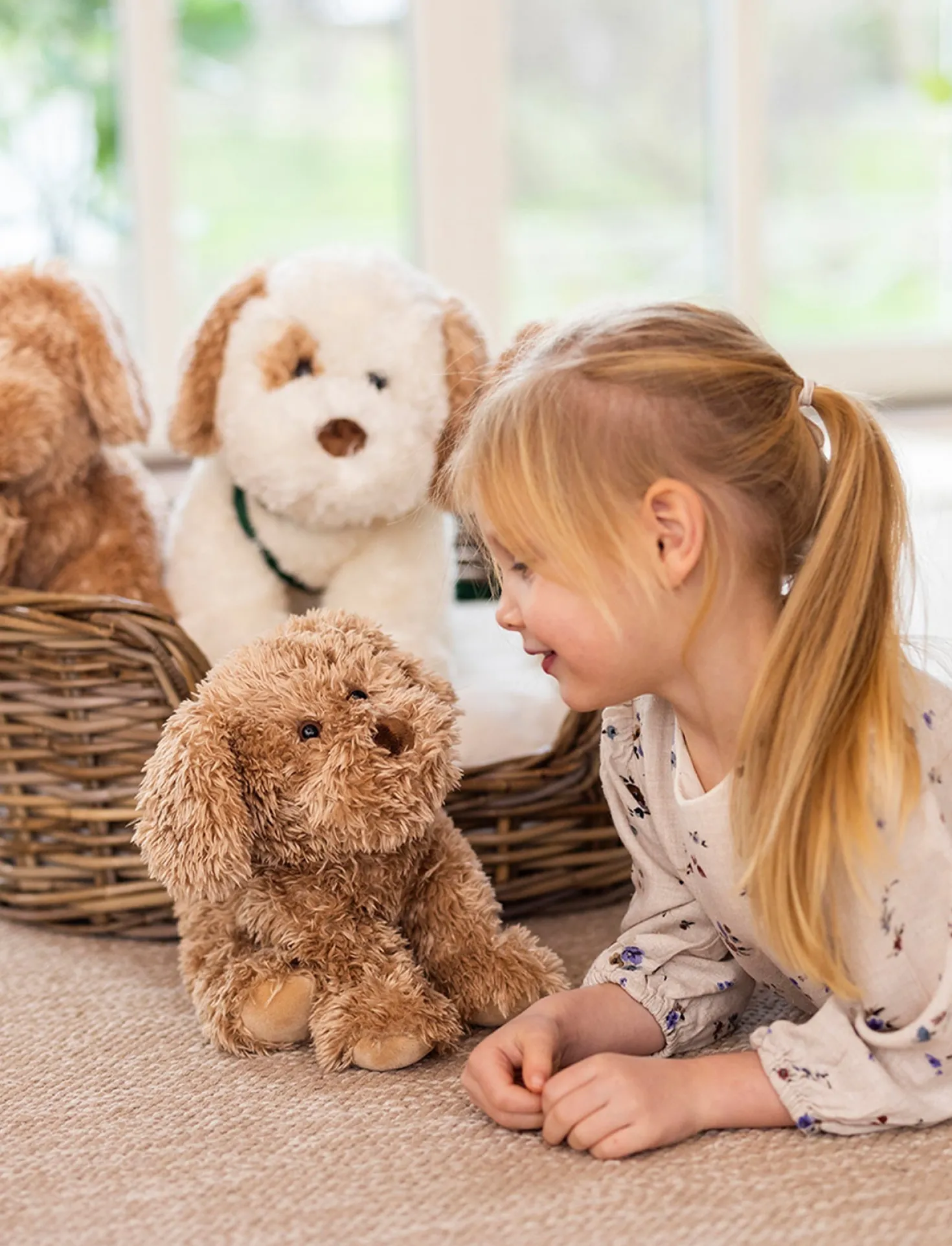 Selma, Hund, Liten, Brun
