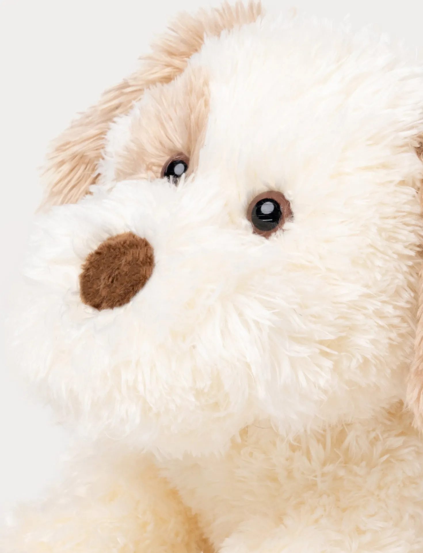 Selma, Hund, Liten, Vit