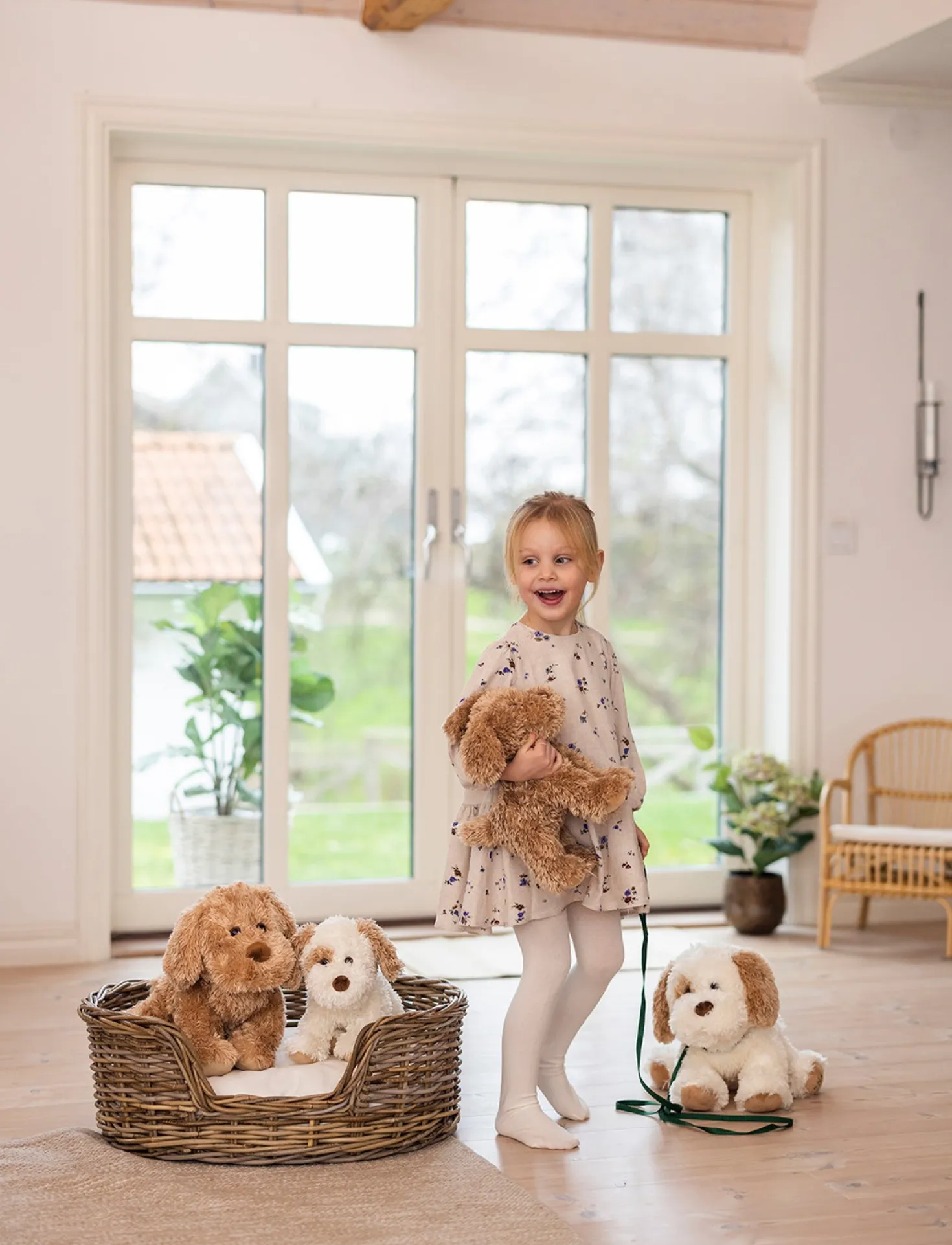Selma, Hund, Liten, Vit