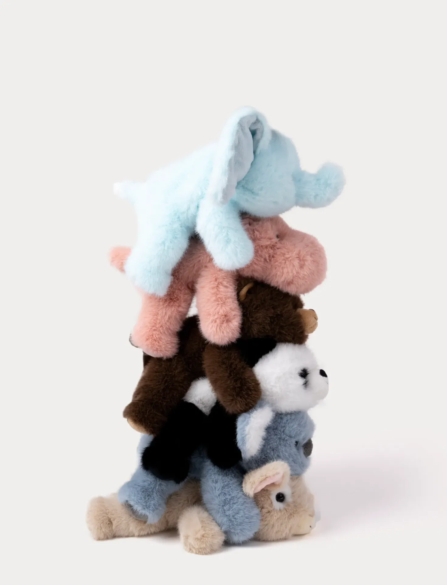 Soft Squad, Koala