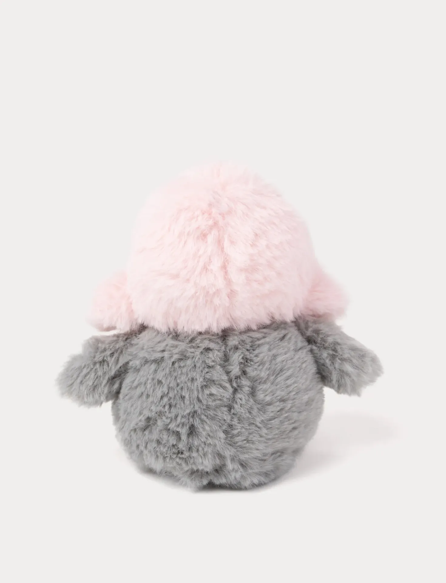 Teddy Arctic, Pingvin, Rosa, Rosa