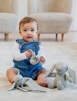 Teddy Baby Gåvoset, Kanin