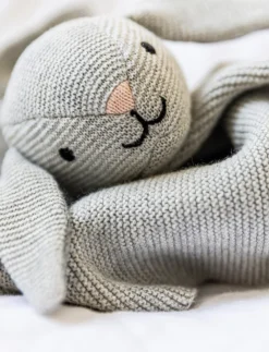 Teddy Baby Gåvoset, Kanin