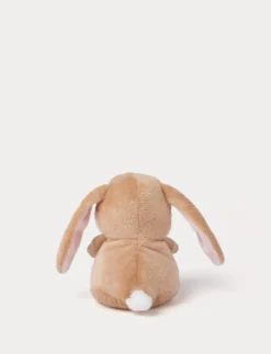 Teddy Bunnies, Liten, Brun