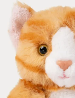 Teddy Cats, Liten, Orange