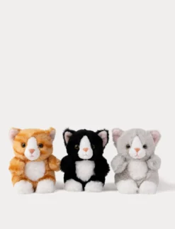 Teddy Cats, Liten, Orange