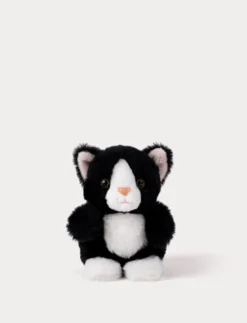 Teddy Cats, Trio
