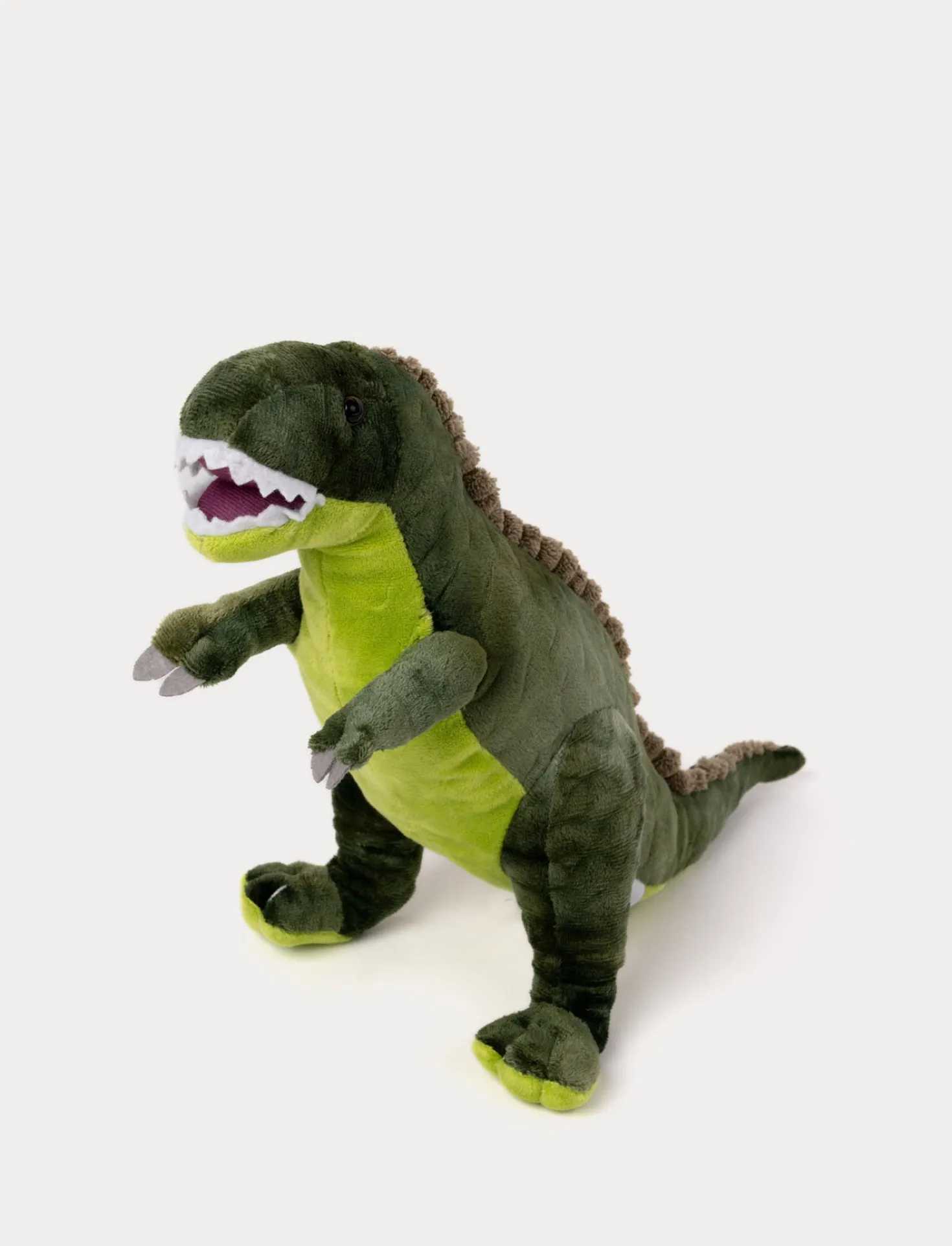 Teddy Dino