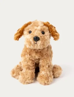 Teddy Dogs, Hund, Beige