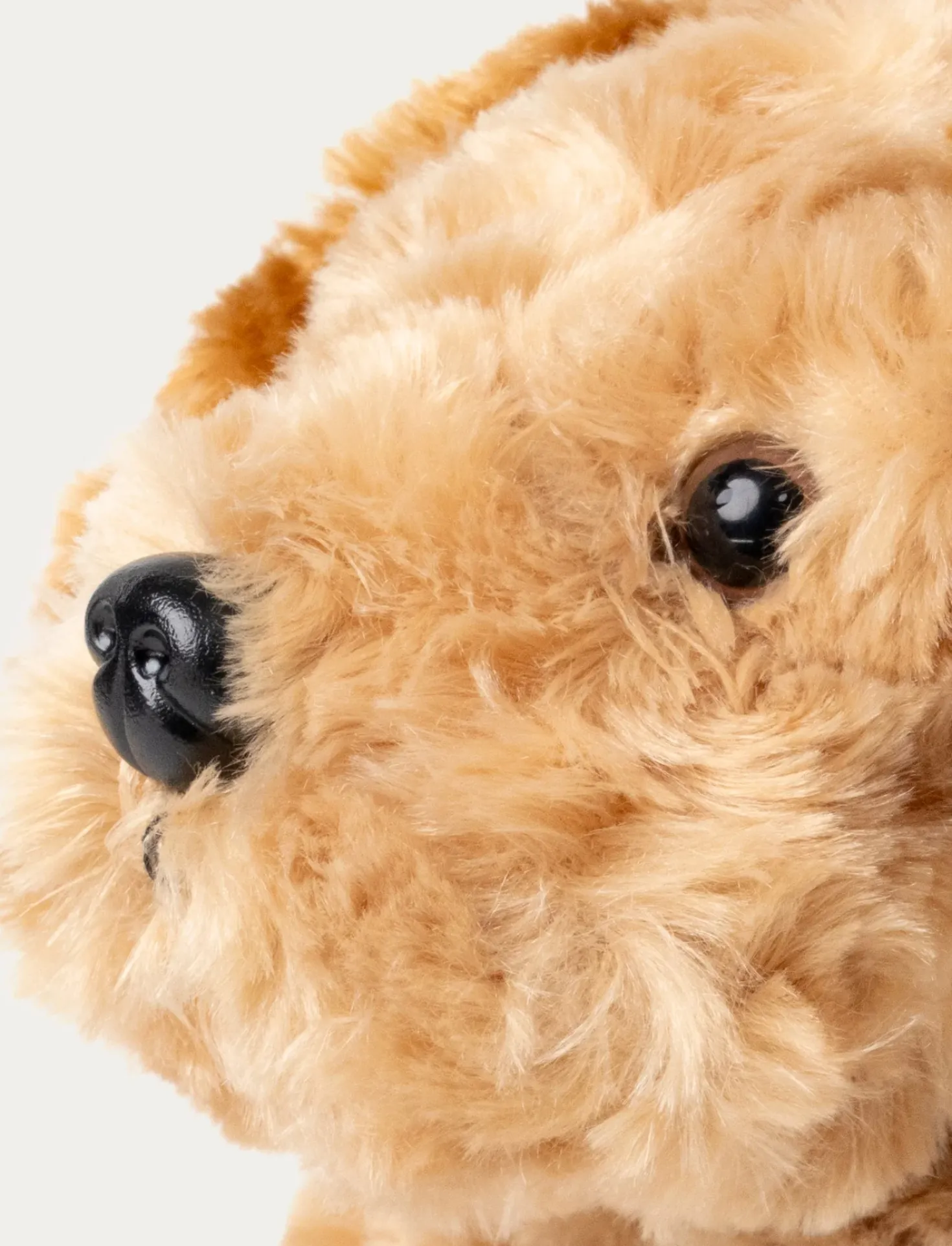 Teddy Dogs, Hund, Beige