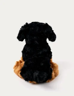 Teddy Dogs, Hund, Brun