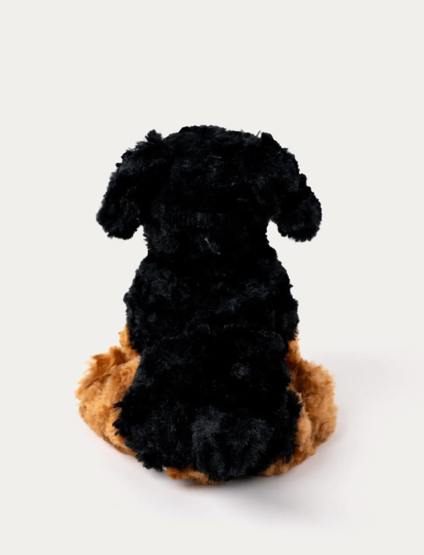 Teddy Dogs, Hund, Brun