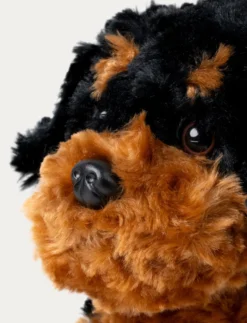 Teddy Dogs, Hund, Brun