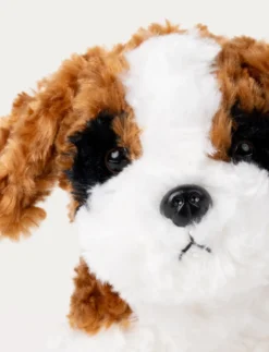 Teddy Dogs, Hund, Vit
