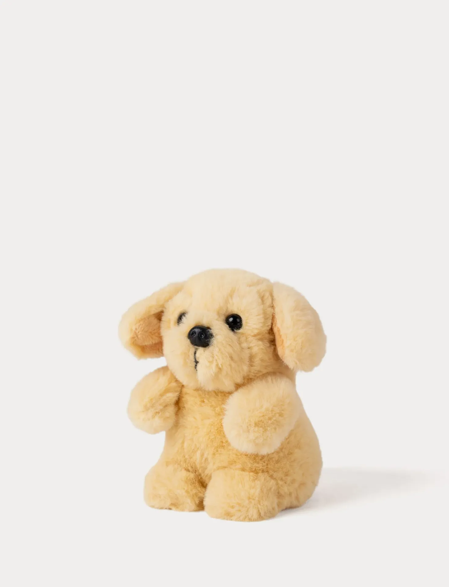 Teddy Dogs, Liten
