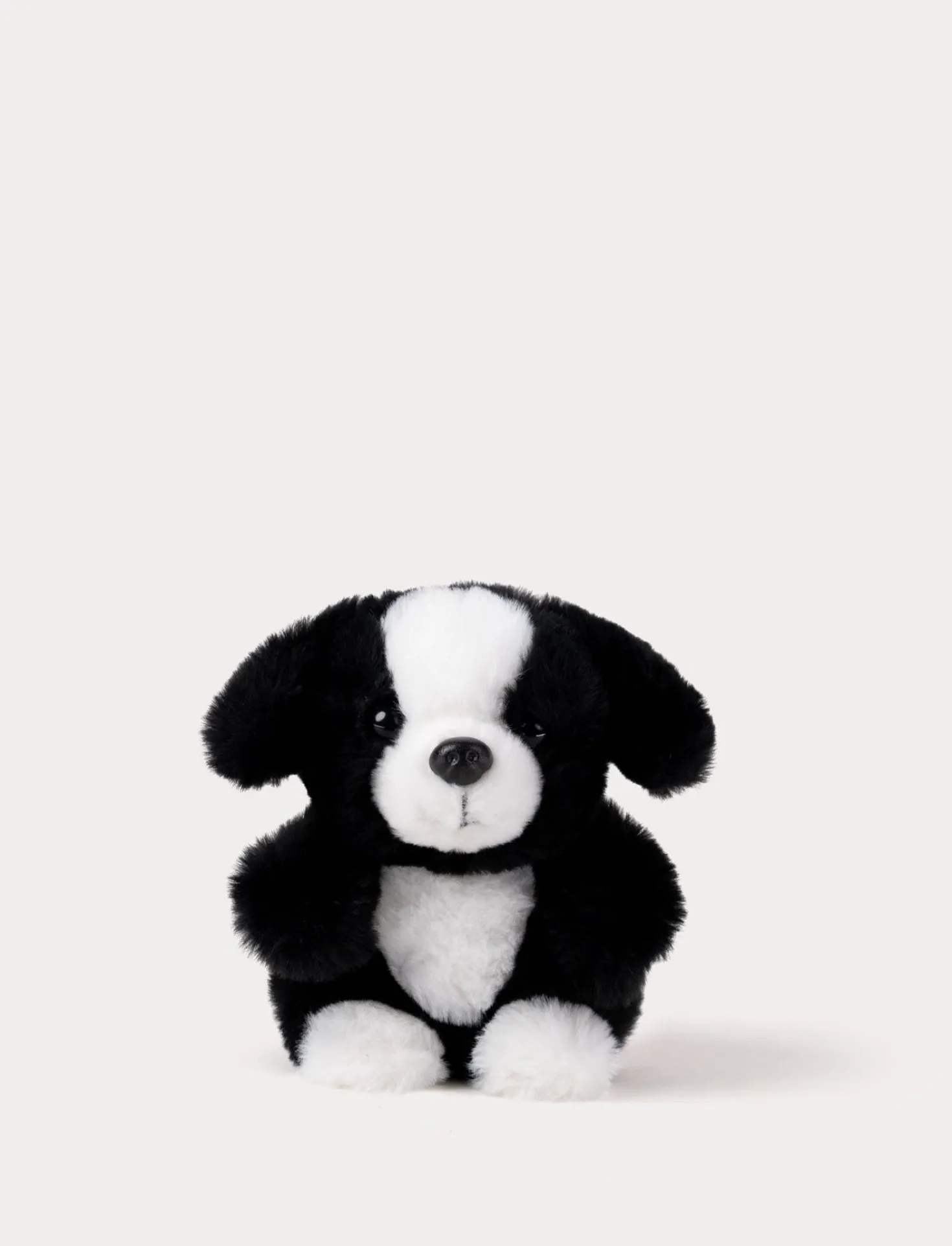 Teddy Dogs, Trio