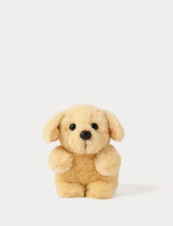 Teddy Dogs, Trio