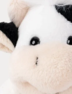 Teddy Farm, Beanies, Ko