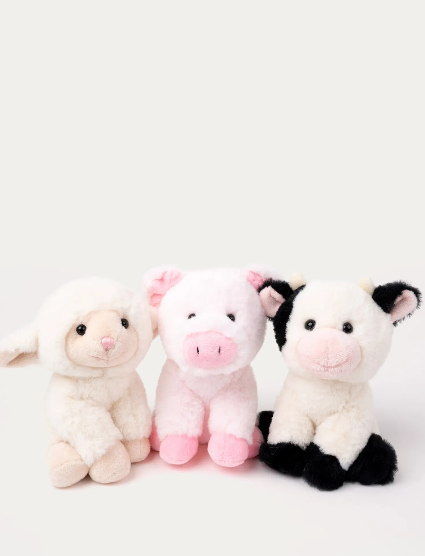 Teddy Farm, Sittande gris