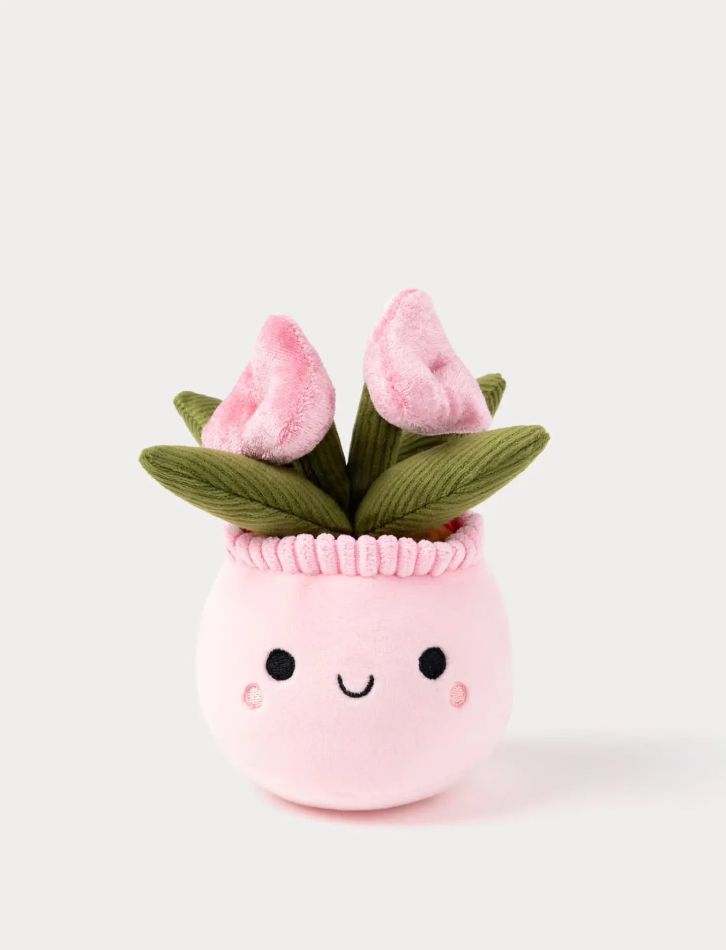 Teddy Flowers, Presentblomma