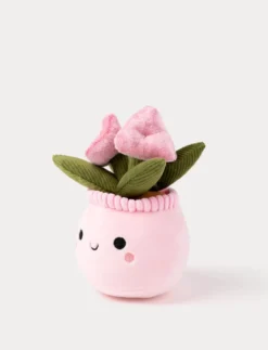 Teddy Flowers, Presentblomma