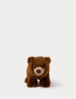 Teddy Forest, Björn