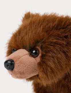 Teddy Forest, Björn