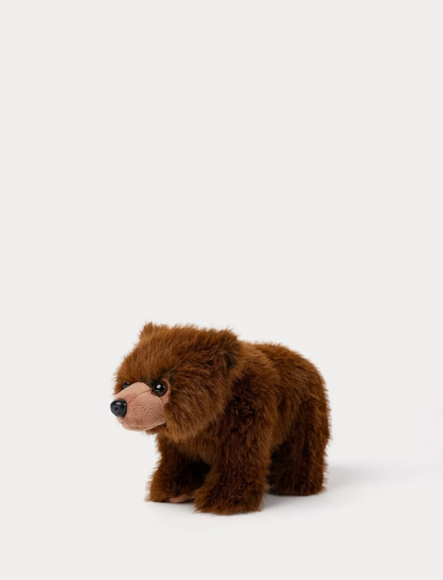 Teddy Forest, Björn