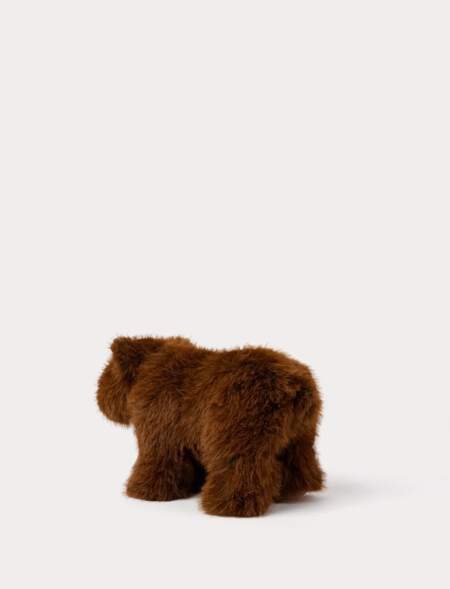 Teddy Forest, Björn