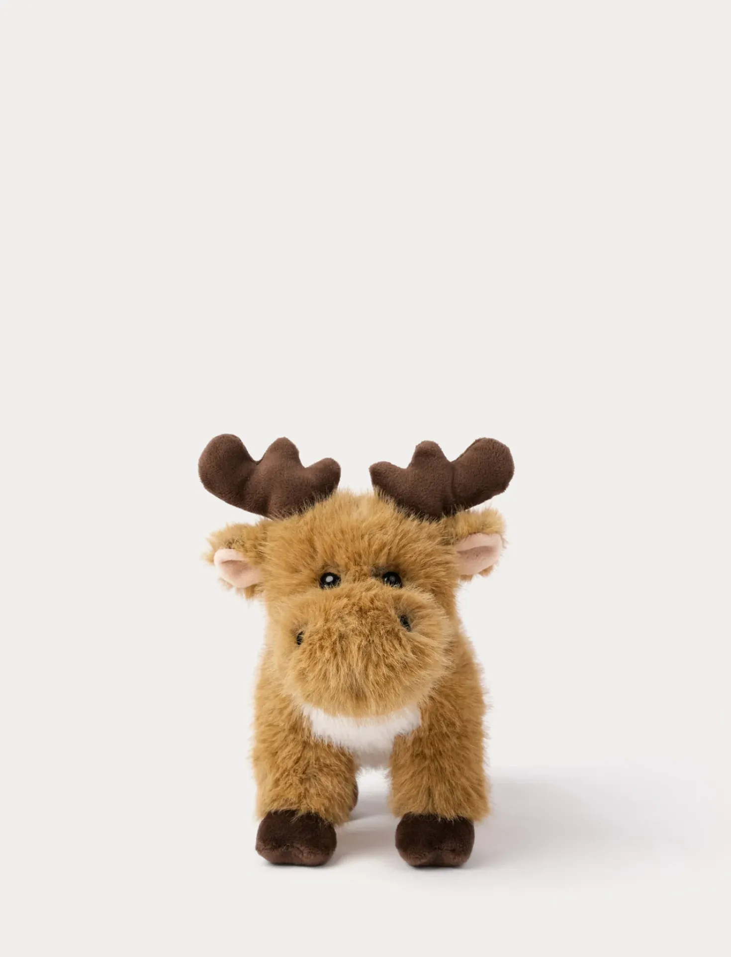 Teddy Forest, Älg