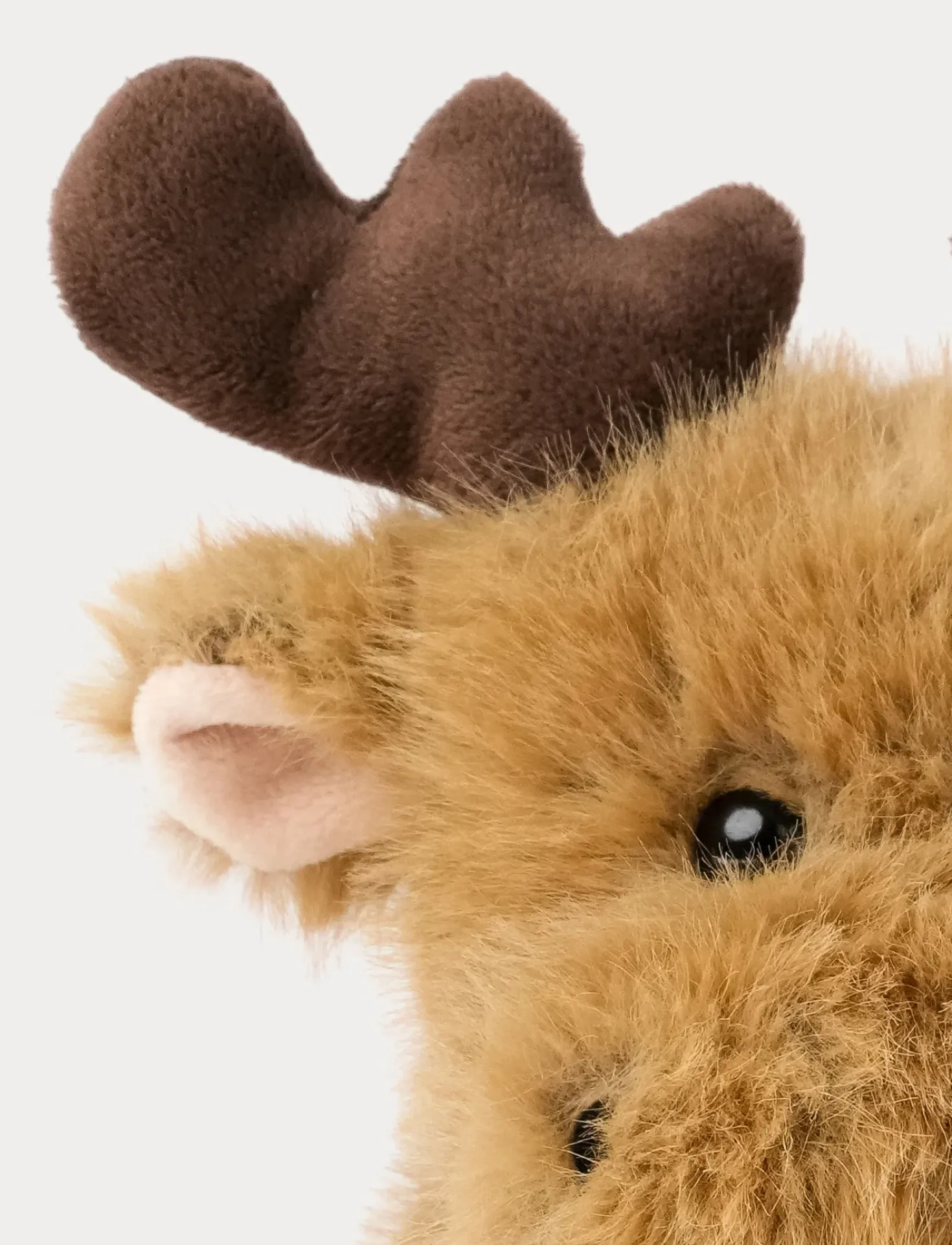 Teddy Forest, Älg
