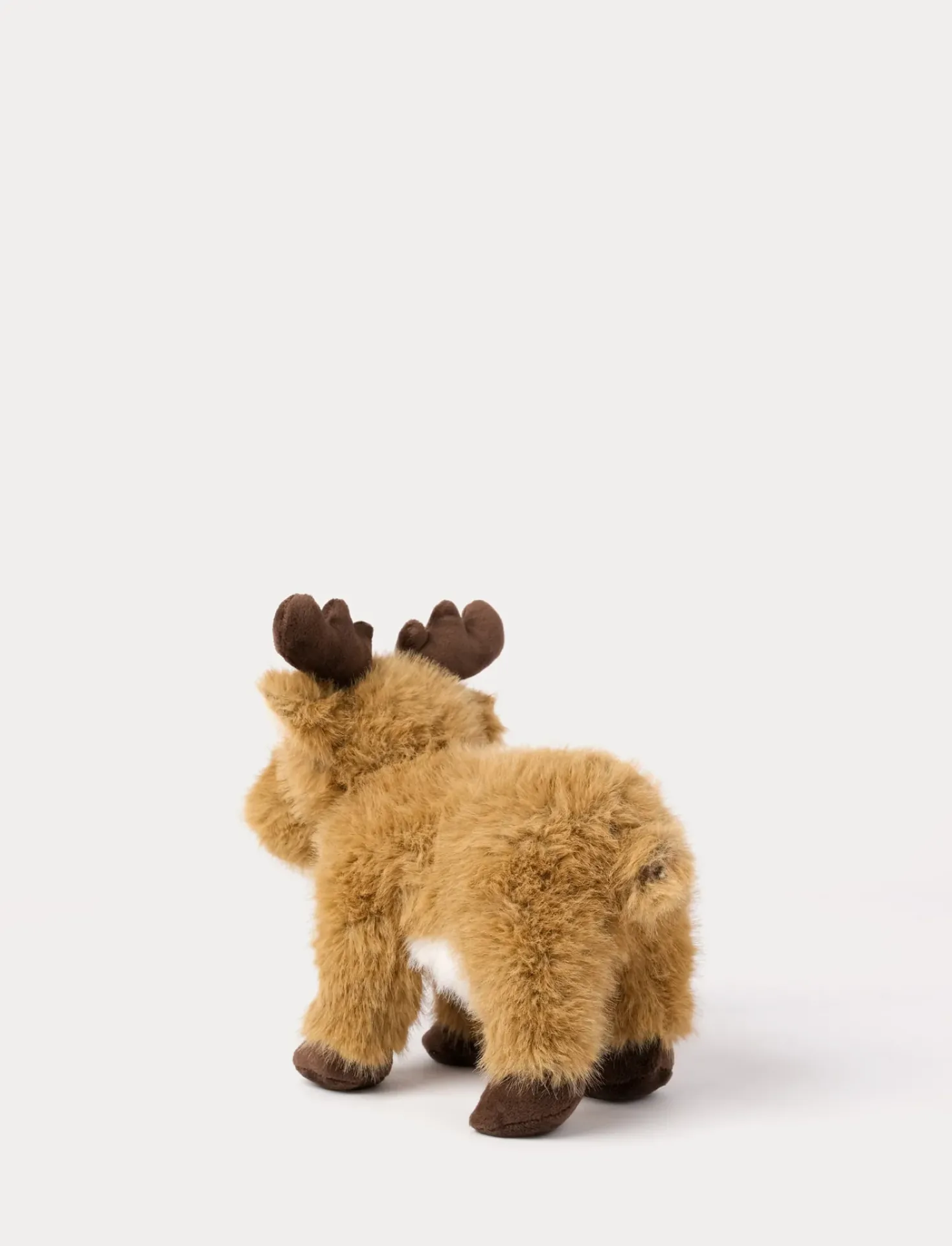 Teddy Forest, Älg