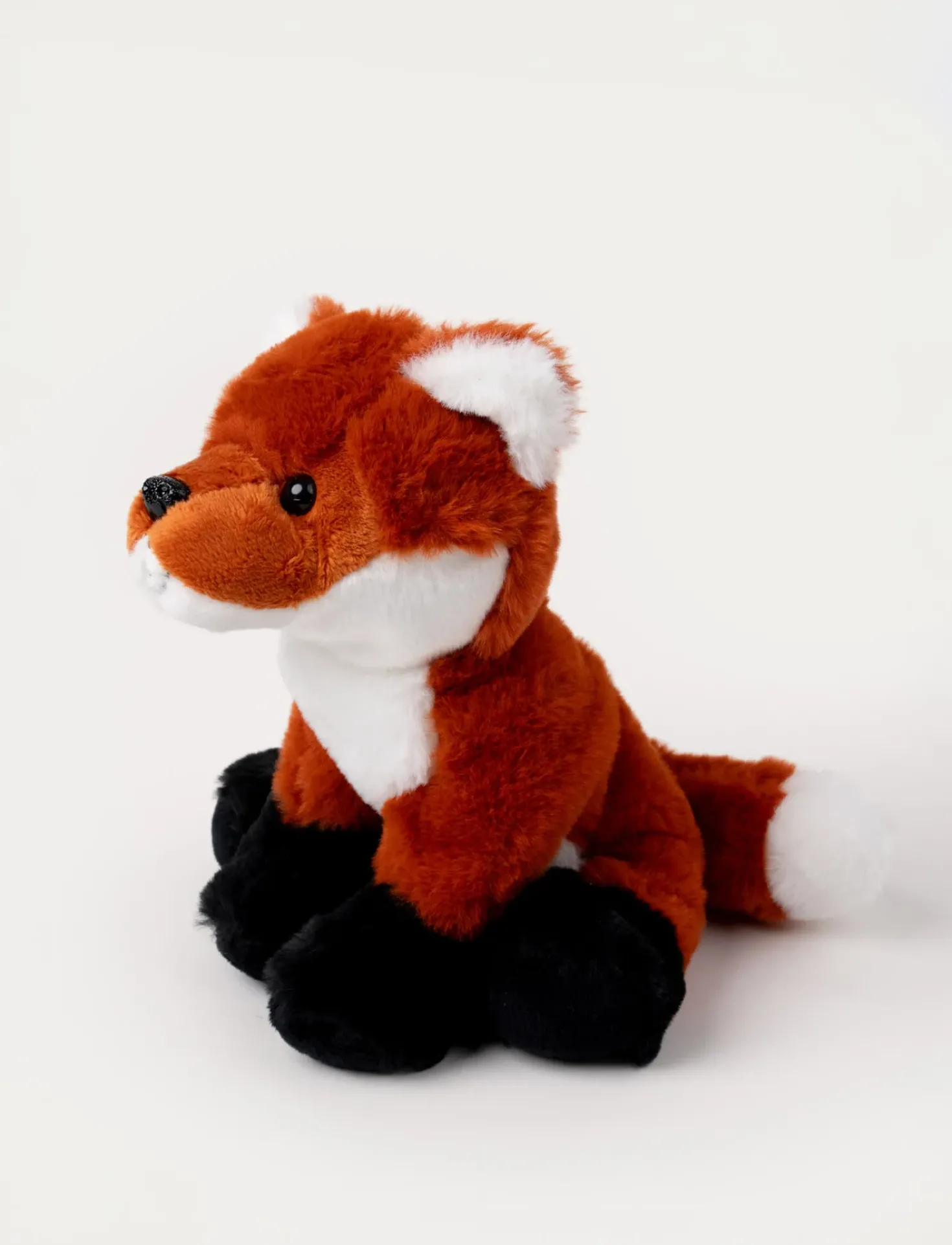 Teddy Forest, Räv
